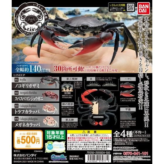 最新入荷 最終値下げ だんごむしシリーズ約50個まとめ売り その他 Buscandonovasaguas Com 最新入荷 最終値下げ だんごむしシリーズ約50個まとめ売り その他 Buscandonovasaguas Com